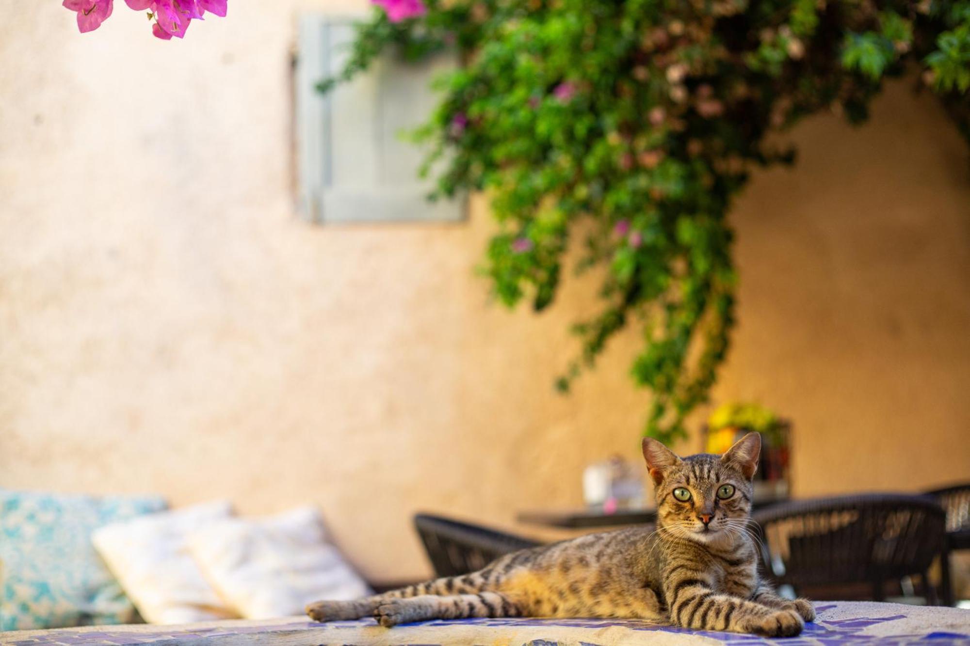 The Old Town House Apartment Rhodes City Bagian luar foto